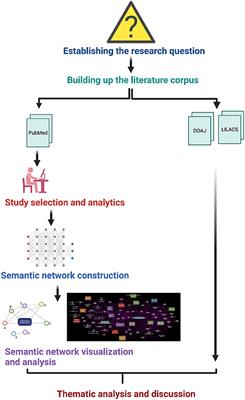 Connections and Biases in Health Equity and Culture Research: A Semantic Network Analysis